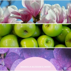 Millefiori Milano Magnolia Blossom & Wood uzupełniacz do pałeczek zapachowych 250 ml